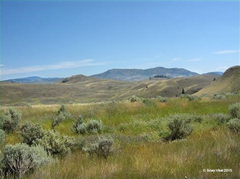 Northern Interior British Columbia Sage Brush And Dry Grassy Plains In