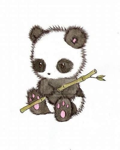 Baby Panda On Bamboo At Duckduckgo Cute Panda Drawing Baby Panda Panda