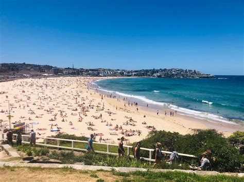 Bondi Beach And Sydney Sights Half Day Tour Sydney Australia
