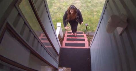 Thief Steals A Package From The Front Porch And It Explodes On Her Viral Videos Gallery