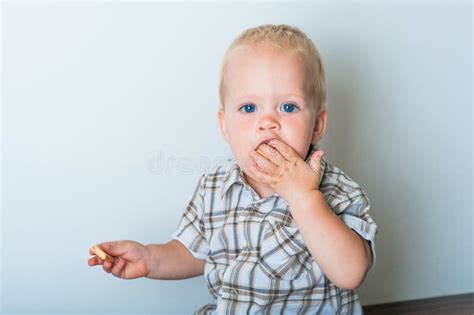 Toddler Boy In Blue Shorts And Shirt Eating Cookies Close Up And Copy