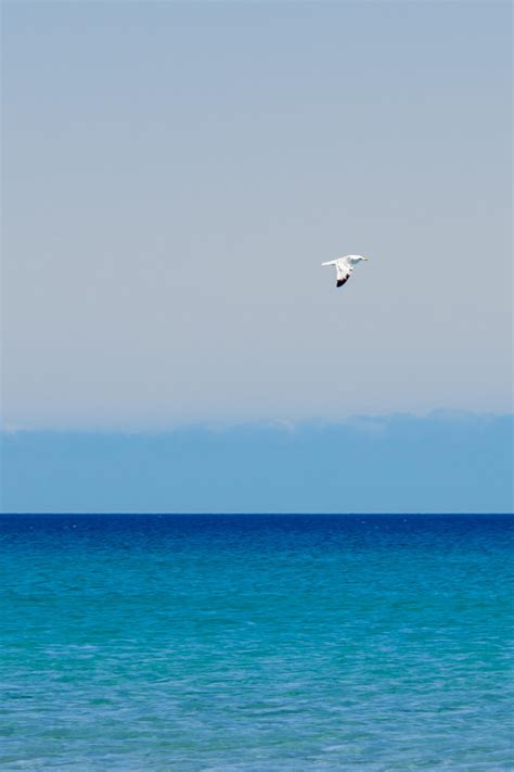 Sky Sea And Seagull By Claus0489 On Deviantart