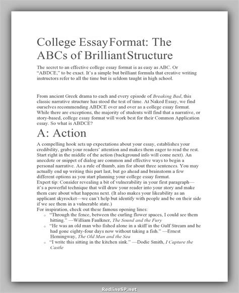 24 Greatest College Essay Examples Redlinesp