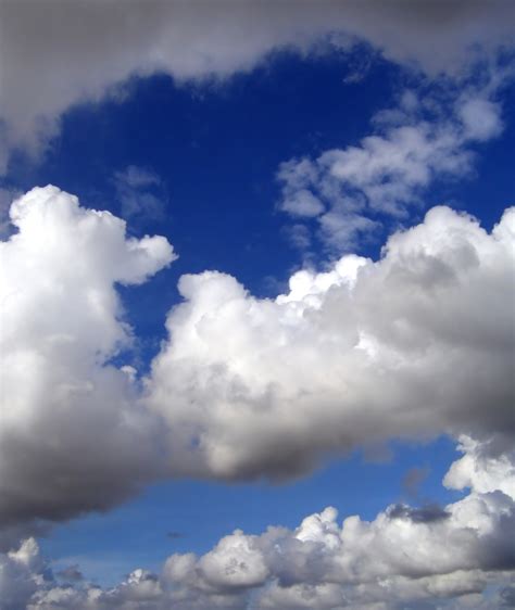 Free photo: Various Cloud Formations - Air, Cirrus, Clouds - Free Download - Jooinn