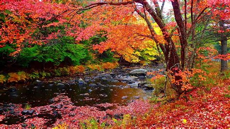 Download New England Autumn Wallpaper