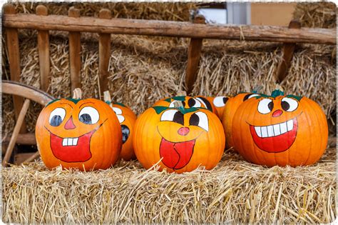 7 No Carve Pumpkin Decorating Ideas The Lakeside Collection