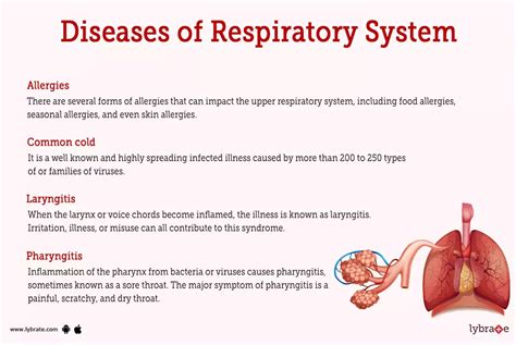 Respiratory System Human Anatomy Picture Functions Diseases And