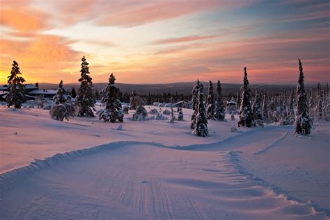 Best finland winter travel tips and destinations!. Weihnachtselfen in Finnland gesucht: Ein Traum wird wahr | Urlaubsguru