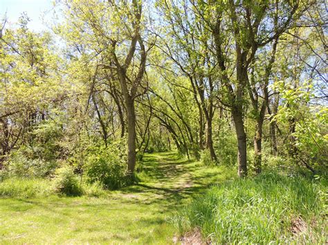 Path In Woods Free Stock Photo Public Domain Pictures