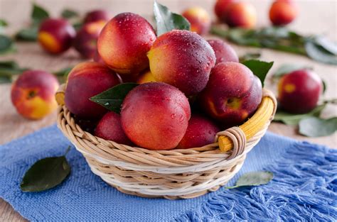 56 Nectarine Varieties An Overview With Pictures House Grail