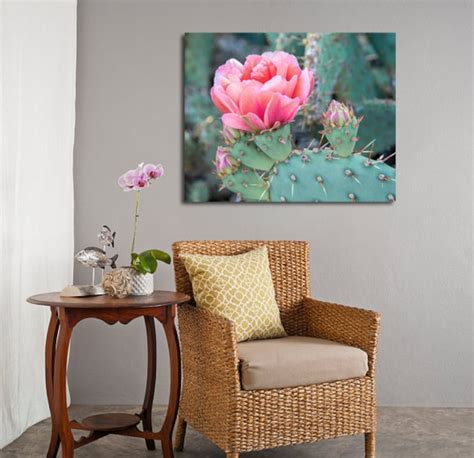 Pink Cactus Flower Art Print Desert Photography Flowering Etsy