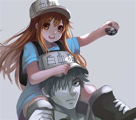 Hd Wallpaper Anime Cells At Work Platelet Cells At Work U 1146