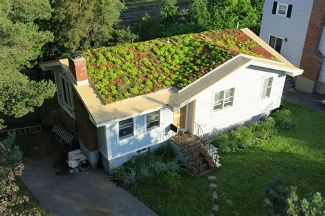 Green Roofing A House Advantages And Costs Earlyexperts