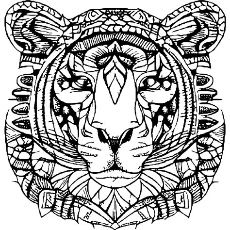 Wild Animals Coloring Page · Creative Fabrica
