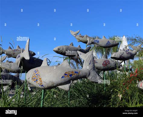 Mugil Curema A School Of Fish Concrete Sculpture Stock Photo Alamy