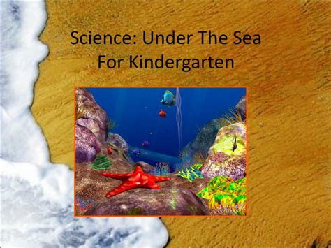 Ppt Science Under The Sea For Kindergarten Powerpoint Presentation