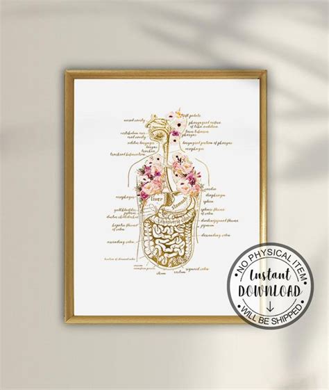Human Body Anatomy Art Human Organs Poster Medical Chart Etsy