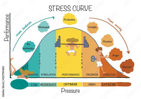 Stress Curve Beautiful Hand Drawn Illustration Of Stages Of Stress