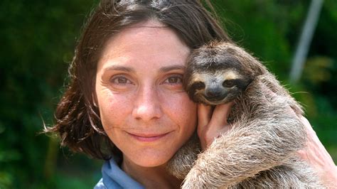A Sloth Named Velcro About Nature Pbs