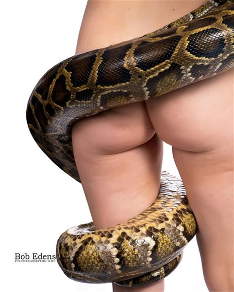 Modeling With Snakes My XXX Hot Girl