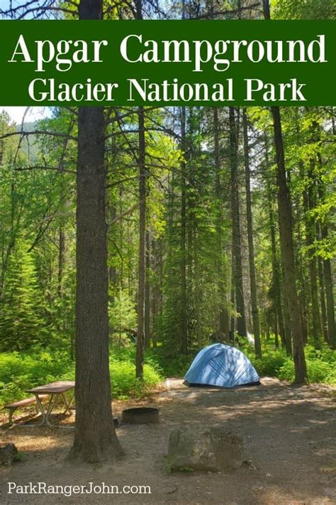 What To Expect When Camping In Apgar Campground Glacier National Park