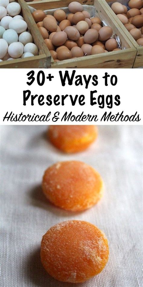 30 Ways To Preserve Eggs Food Canning Food Preservation Canning