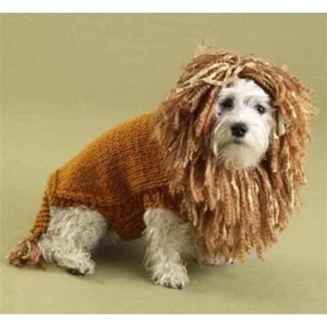King Of The Beasts Lion Dog Sweater Pattern Knit Dog Sweater