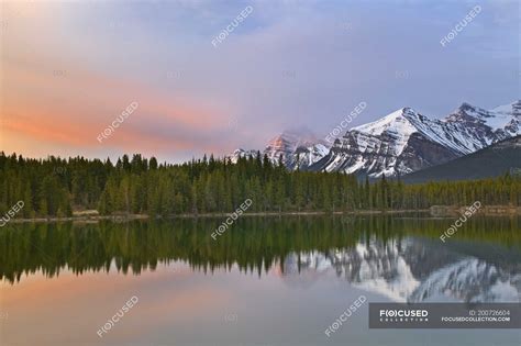 Herbert Lake Reflecting Forest Trees And Bow Range Mountains Banff