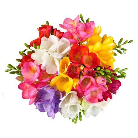 Bouquet Top View Stock Image Image Of Colorful Isolated 29833943