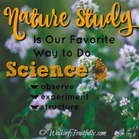 Nature Study Is Our Favorite Way To Do Science