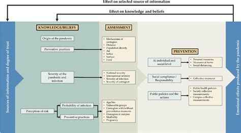 Representation Of The Conceptual Model The Variables Of Age Sex