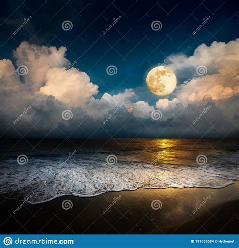 Sandy Beach And Moon At Night Stock Photo Image Of Light Night
