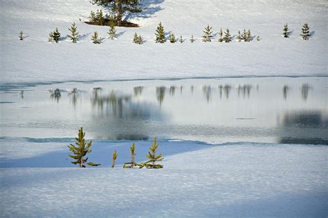 Yellowstones Divide Lake And Reflections In Deep Winter Photograph By Bruce Gourley Pixels