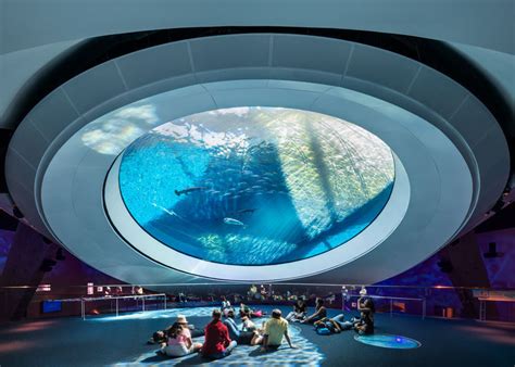 Building Wonder Global Aquariums Capture A Blue World Archdaily
