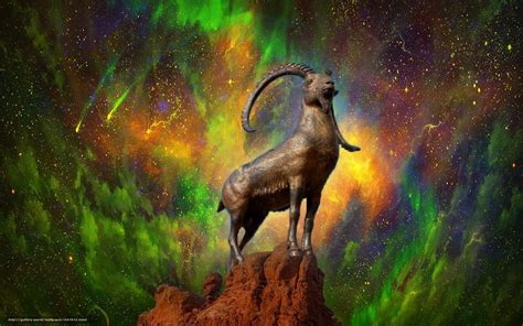 Mountain Goat Wallpapers Wallpaper Cave