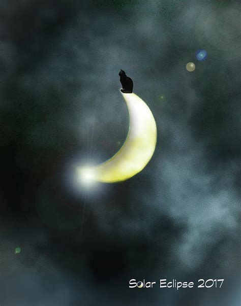 A Cat And The Eclipse Photograph By Sandy Klewicki Fine Art America