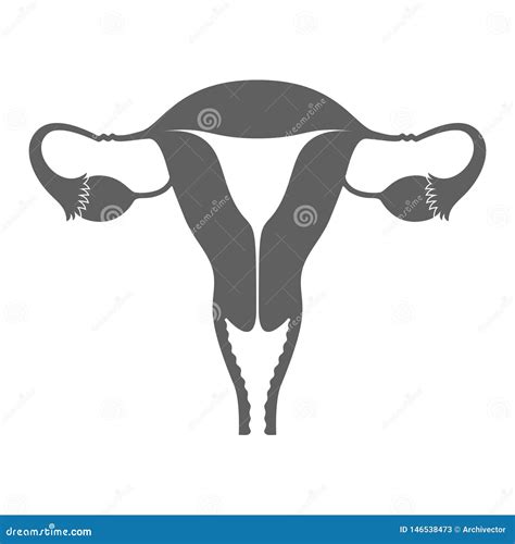 Female Reproductive System Icon Stock Vector Illustration Of Health