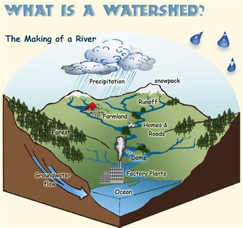 A Watershed The Making Of A River Watersheds Science For Kids