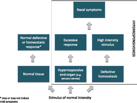 Figure 1 From Pathophysiology Of Allergic And Nonallergic Rhinitis