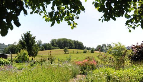 Sammlung von nora kuch • zuletzt aktualisiert: Ein naturnaher Garten ist Lebensraum für Mensch, Tier und ...