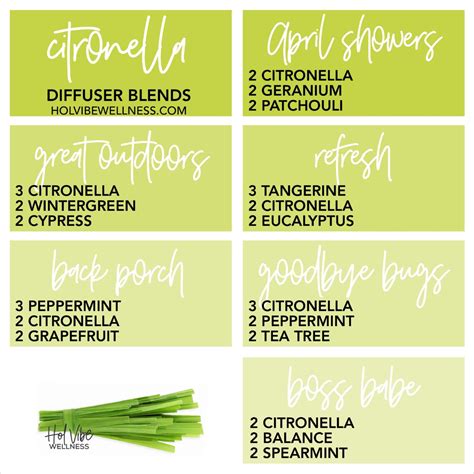 Citronella Diffuser Blend In 2021 Citronella Essential Oil Essential