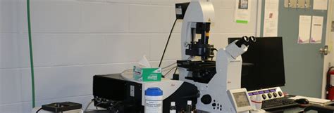 Leica Sp8 Confocal Microscope Lrmf Western University