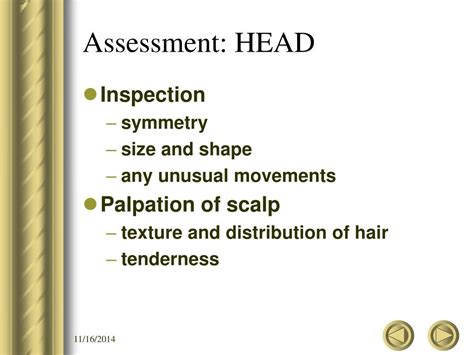 Ppt Assessment Of The Head Neck Lymphatic System Powerpoint