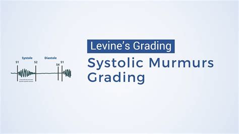 Grading Of Systolic Murmurs Levine S Grading Youtube