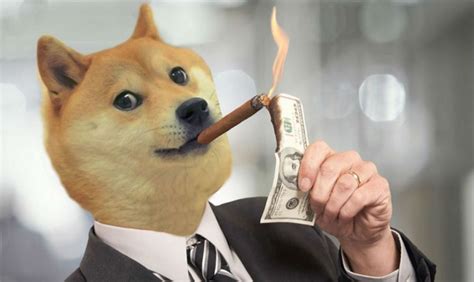 Why You Should Invest In Dogecoin