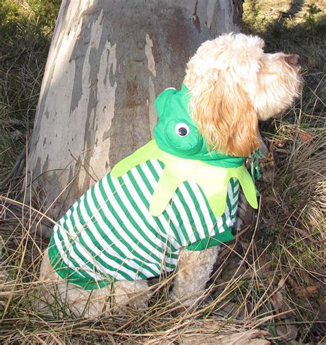 Frog Dog Costume For Halloween St Patricks Day Or Parties Etsy