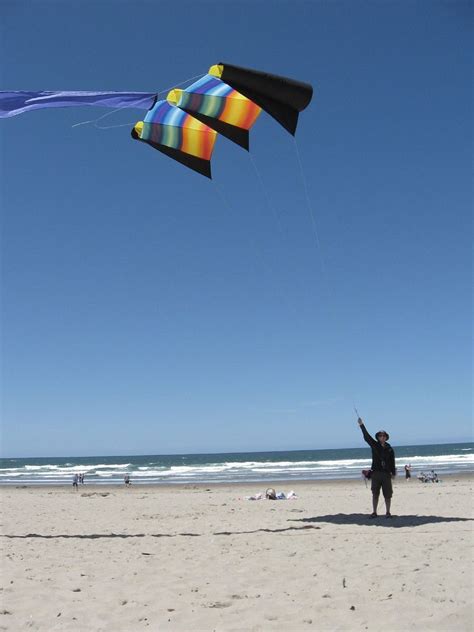 Walk Softly And Carry A Big Kite Kite Big Kites Kite Flying