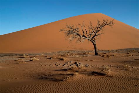 Exploring The Desert Landscape Of Namibia The New York Times
