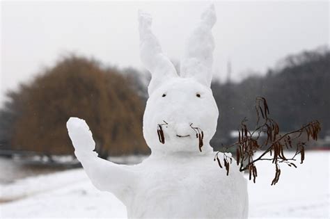 More Snow Coming Easter Bunny Is Ticked Off