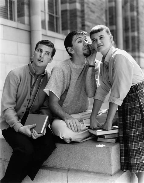 The Many Loves Of Dobie Gillis Classic Television Old